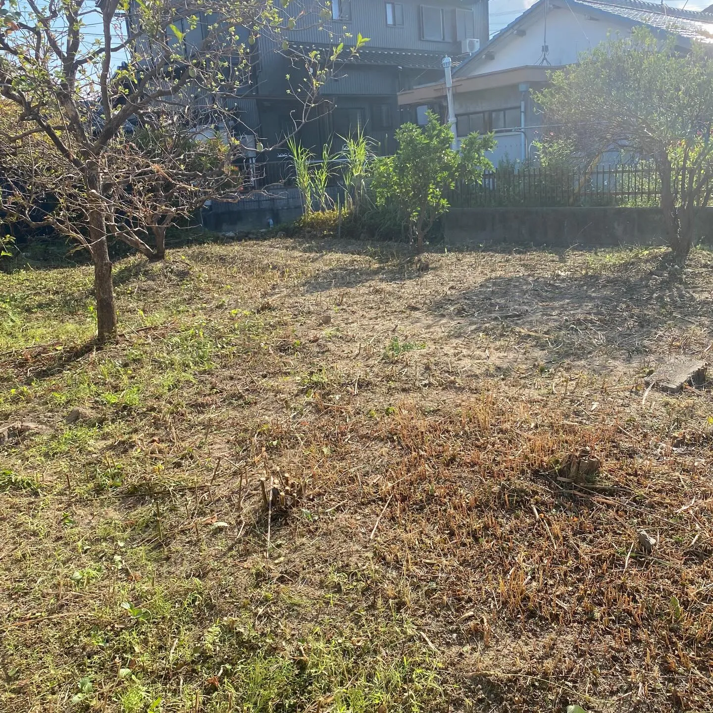 不動産会社様よりご依頼頂き、草刈りを行いました!